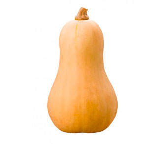 Calabaza Pumpkin isolated on white sweet pear shaped orange pumpkin