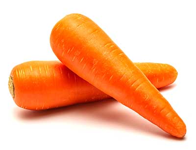 Zanahoria Carrot