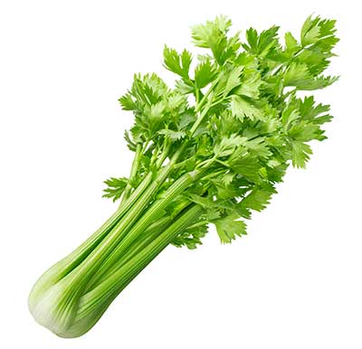 Apio fresco - Fresh Celery