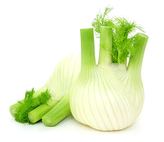 FENCHEL