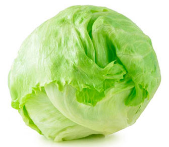 Lechuga Iceberg Vecofruits