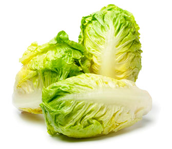 Lechuga Littel Gem Vecofruits