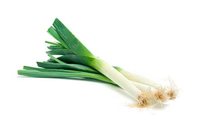 Puerro Fresco