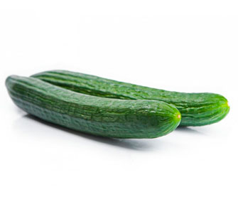 Pepino Holandes - Dutch variety cucumber