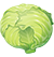 Lechuga Iceberg Fresca