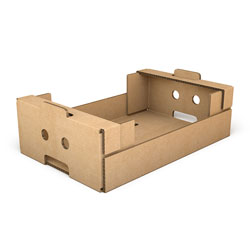 Caja de cartón - Vecofruits