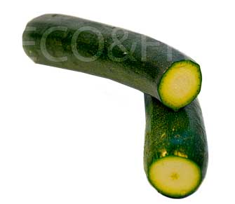 Calabacín Despuntado