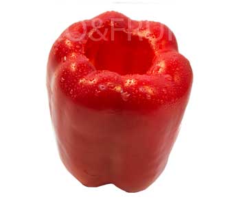POIVRON ROUGE SURGELÉ