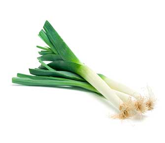 Puerro entero - Whole leek